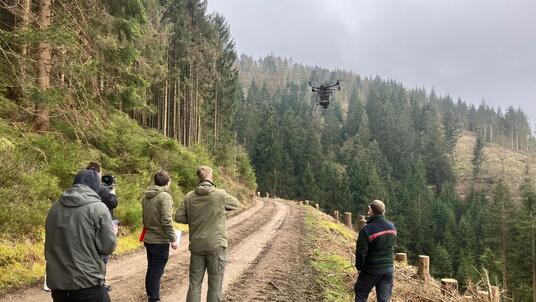 Testflug einer Saatgut tragenden Drohne über die Goslarer Stadtforst 