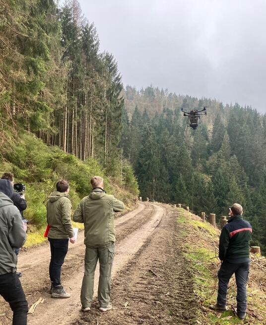 Testflug einer Saatgut tragenden Drohne über die Goslarer Stadtforst 