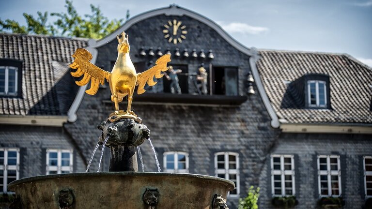 Goslar Kaiserringhaus und der Goldene Adler auf dem Brunnen von vorne fotografiert