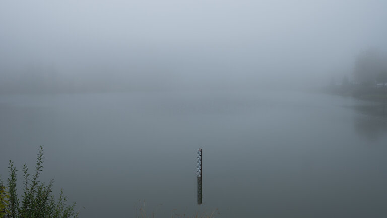 Ein Teich im Nebel