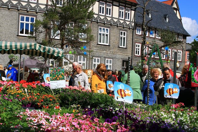 Viele Menschen bewundern die Pflanzideen auf dem Marktplatz in Goslar